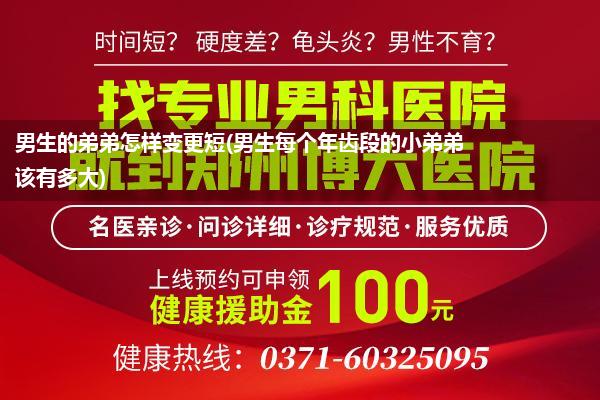 男生的弟弟怎样变更短(男生每个年齿段的小弟弟该有多大)