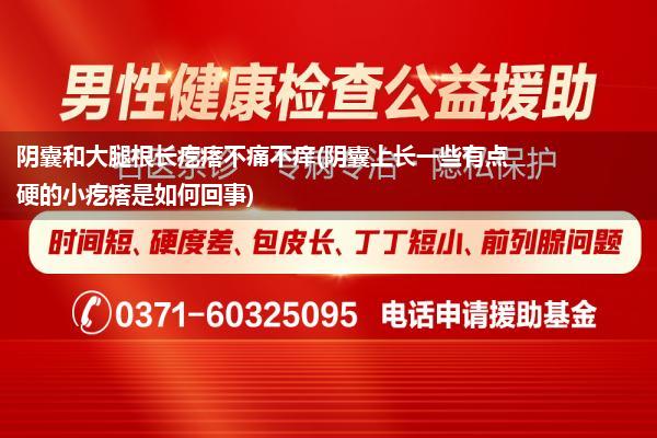 阴囊和大腿根长疙瘩不痛不痒(阴囊上长一些有点硬的小疙瘩是如何回事)