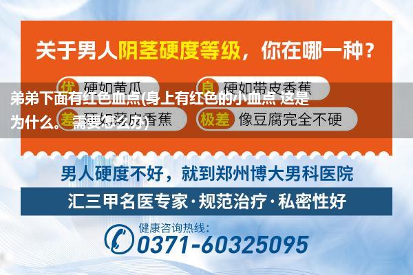 弟弟下面有红色血点(身上有红色的小血点 这是为什么。 需要怎么办)